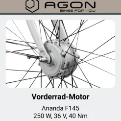 Agon Aurora 28 Zoll E-Bike 28 Zoll Citybike bis 130 km Damen Herren 150 - 175 cm Pedelec Elektrofahrrad 3 Gang und Beleuchtung StVZO telegrey
