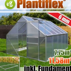 Aluminium Gewächshaus 11,58m³ mit Fundament 250x310cm Garten Pflanzenhaus Alu Treibhaus Tomatenhaus 7,75m² - 6mm Verglasung - silber ^ Plantiflex Best