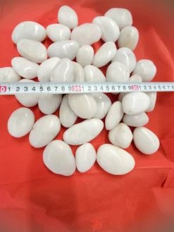 180kg Polierter Kiesel Flusskiesel Kieselsteine Gartenkies Zierkies weiß ^ Aquagart New