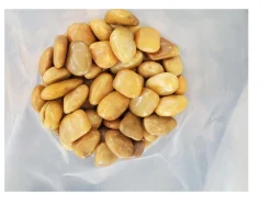 20kg Polierter Kiesel Flusskiesel Kieselsteine Gartenkies Zierkies gelb ^ Aquagart Online