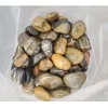 Aquagart 20kg Polierter Kiesel Glanzkies Flusskiesel Kieselsteine Gartenkies Zierkies # Sale