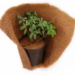 3 Kokos Mulchscheiben 60cm Kokofasermatte Kokosfaser Pflanzenschutzmatte Kokos ^ Aquagart Best