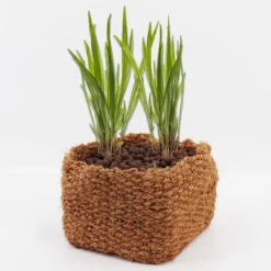 Aquagart 4 Kokos P?anzkorb 25 x 25 x 20cm Teichkorb für Ufermatte & Böschungsmatte Discount