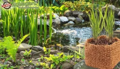 Aquagart 3 Kokos P?anzkorb 20 x 20 x 15cm Teichkorb für Ufermatte & Böschungsmatte Online