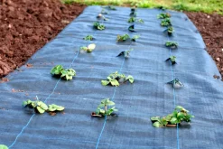 Aquagart 320m² Bodengewebe Unkrautfolie Mulchfolie 100g 1,65m breit Best
