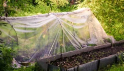 25m Gartenfolie Gewächshausfolie UV 5 Frühbeetfolie Treibhausfolie 4m breit ^ Aquagart Clearance