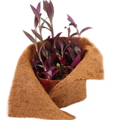 Aquagart 28m Kokosmatte Winterschutz Böschungsmatte Kokosfasermatte 800g/m² 0,25m breit Online