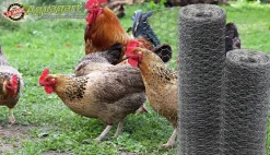 20m Sechseckgeflecht Hühnerzaun Kaninchendraht Hasengitter Hasendraht 100cm ^ Aquagart Clearance