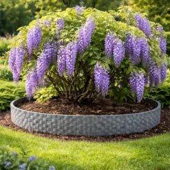 Aquagart Rasenkante Rattanoptik I Grau I 8x80 cm Module I Kunststoff Beeteinfassung für Beet-& Rasenabgrenzungen I Flexible Beetumrandung Clearance