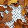 Teichnetz 9m x 6m Laubnetz Netz Vogelschutznetz robust ^ Aquagart Sale