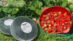 Aquagart 4 Vogelschutznetze 8m x 8m Obstbaumnetz Gemüsenetz Clearance