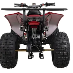 Actionbikes Motors Benzin-Jugend-Quad S-10, 125ccm, ATV, Gepäckträger, Not-Aus-Leine, Halbautomatik, Scheibenbremse Metallic/Rot Sale