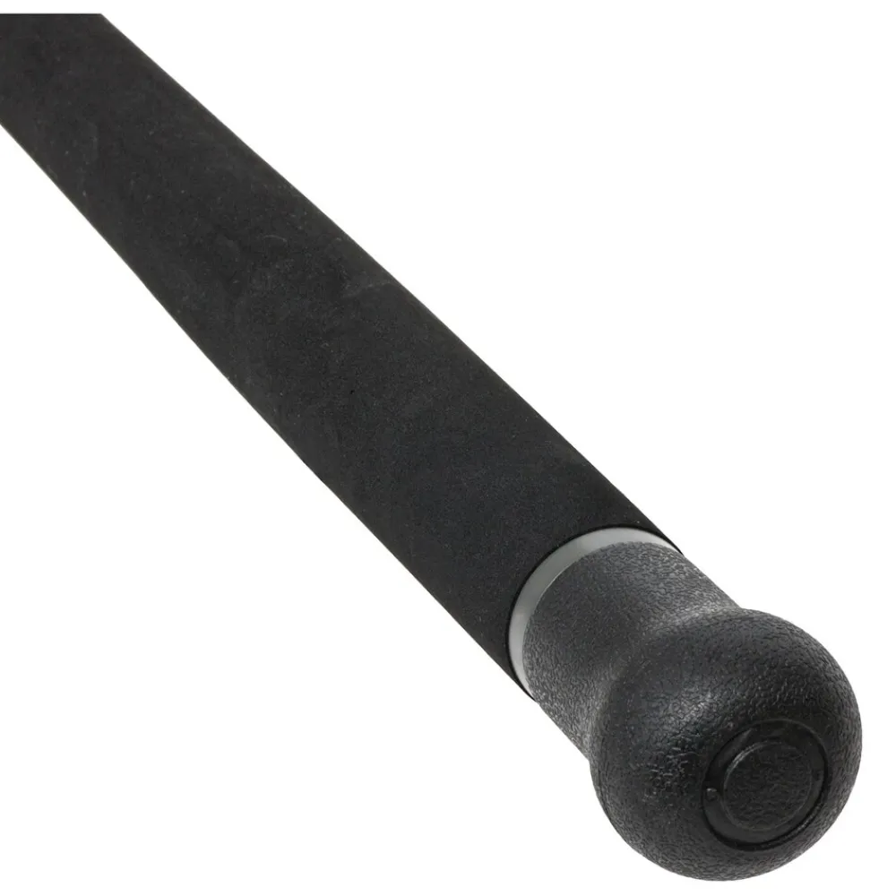 Blade 2,65m 30Lbs Wels-Allroundrute ^ Black Cat Best