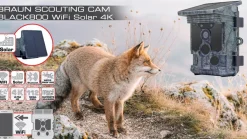 Braun Photo BRAUN Scouting Cam Black800 WiFi Solar 4K Best