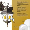 Brilliant Janel Außenwandleuchten - 1 Stück Außenlampe Hängend Schwarz Gold, IP44, E27 Fassung (Leuchtmittel nicht inkl.), Dimmbar, Wetterfest für Garten, Terrasse & Eingang New