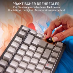 TAS Keyboard KW 300 MX ^ Cherry Best