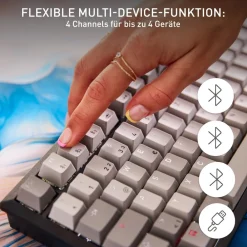 TAS Keyboard KW 300 MX ^ Cherry Best