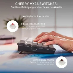 TAS Keyboard KW 300 MX ^ Cherry Outlet