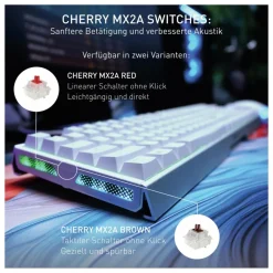 XTRFY MX 3.1 ^ Cherry Best