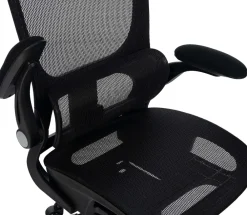 CLP Bürostuhl ergonomisch mit Kopfstütze Kaylee, Schreibtischstuhl höhenverstellbar Lordosenstütze Armlehnen, Drehstuhl bis 150 kg schwarz