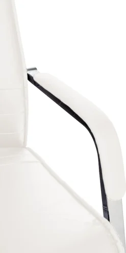 Esszimmerstuhl ergonomisch Hobart, Freischwinger mit Armlehnen gepolstert, Metallgestell stabil, Konferenzstuhl modern ^ CLP Best