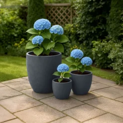 CLP Pflanzkübel groß, 3er Set für außen und innen, Outdoor XXL Blumenkübel rund, wetterbeständig frostsicher in Steinoptik, winterfest grau Hot