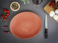 24800 Serie Vintage Nature Steakteller 4-tlg Geschirrset 4 Personen ^ CreaTable Best