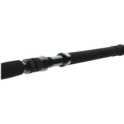 BG Big Game 1.68m 20-30lbs Bootsrute ^ Daiwa New