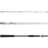 Exceler Spin 2.70m 40-80g Spinnrute ^ Daiwa New