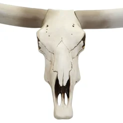 Deko Kuhschädel -D32, Stierkopf Bulle Tierkopf Longhorn Trophäe, Polyresin 103x43x11cm ^ MCW Best