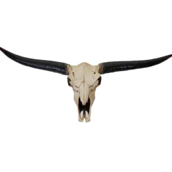 Deko Schädel 132cm -A14, Polyresin Stier Bulle Longhorn Kopf Trophäe, In-/Outdoor ~ naturfarben ^ MCW New
