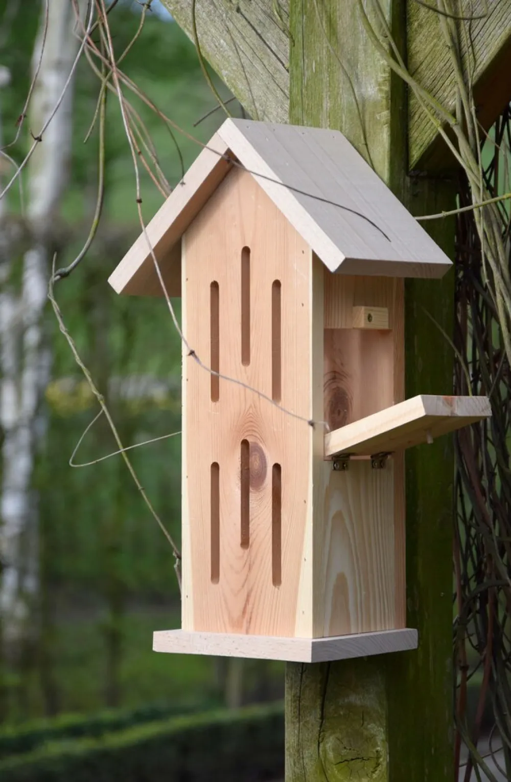 Design-Schmetterlingshaus "Sonnenfalter Natur" ^ Dobar
