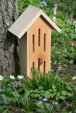 Design-Schmetterlingshaus