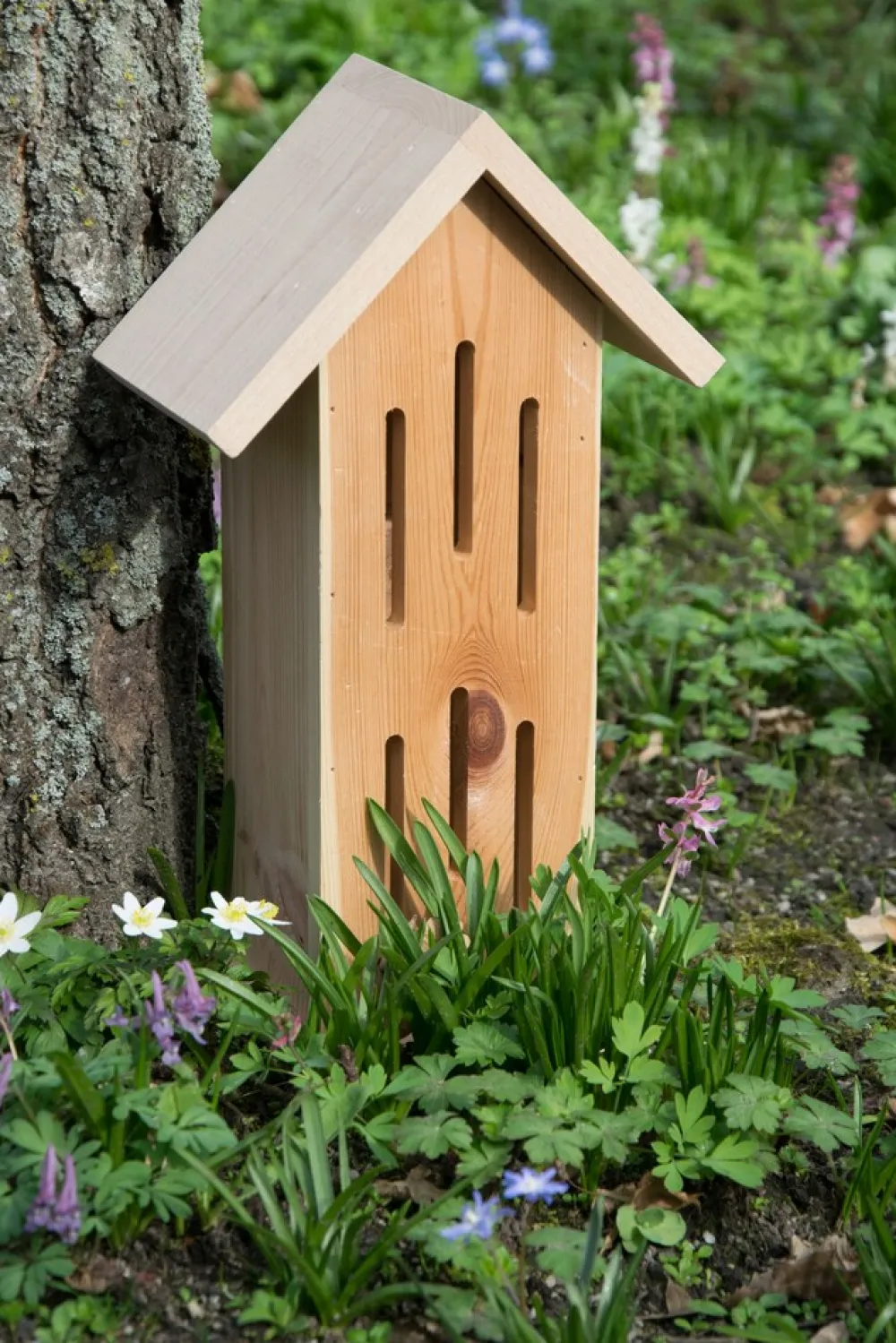Design-Schmetterlingshaus "Sonnenfalter Natur" ^ Dobar