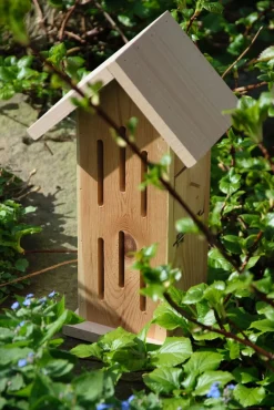Design-Schmetterlingshaus