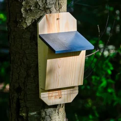 Dobar Fledermauskasten "Microchiroptera", Anthrazit New