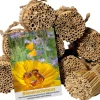 green label Schilfrohrhalme-Set plus Samenmischung "Bienenschmaus" ^ Dobar New