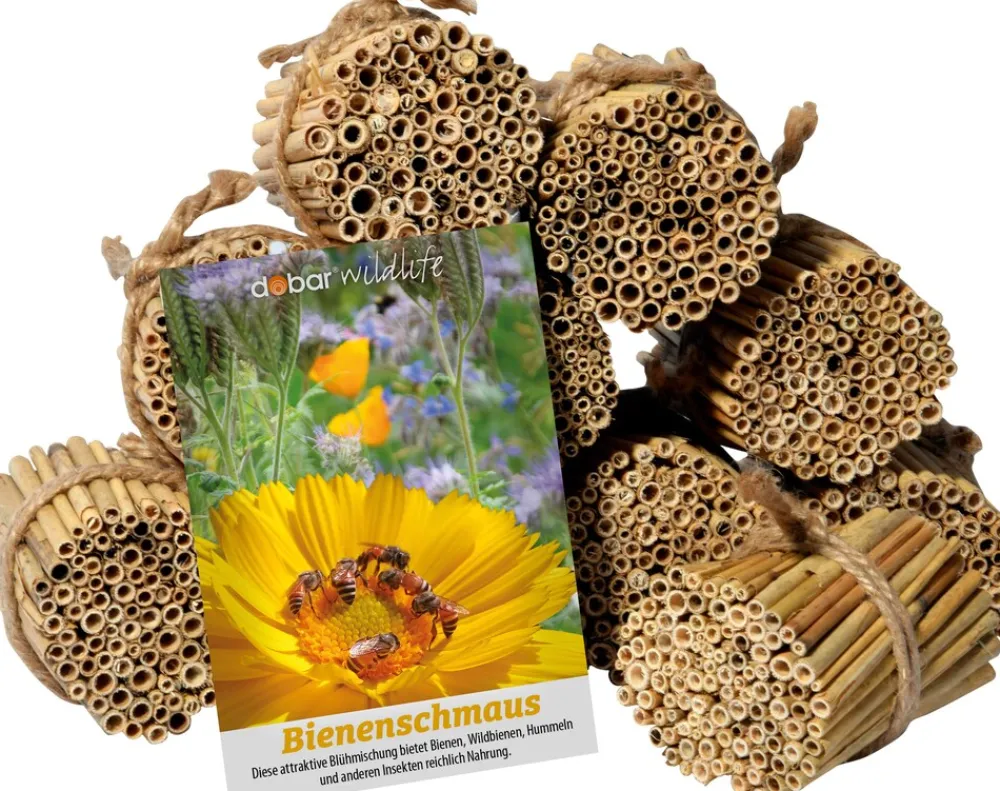 green label Schilfrohrhalme-Set plus Samenmischung "Bienenschmaus" ^ Dobar New