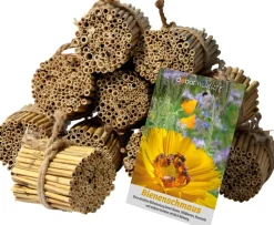 green label Schilfrohrhalme-Set plus Samenmischung "Bienenschmaus" ^ Dobar New