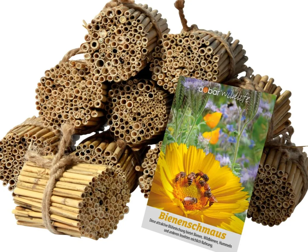green label Schilfrohrhalme-Set plus Samenmischung "Bienenschmaus" ^ Dobar New