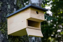 Dobar Nistkasten für Höhlenbrüter Hot