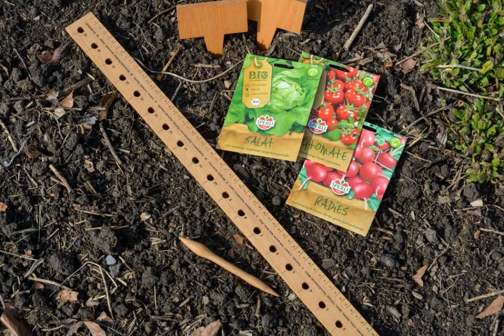 Dobar Pflanzen-Starter-Set aus Buchenholz Sale