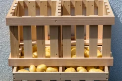 Dobar Vorratsbehälter aus Holz - versch. Ausführungen New