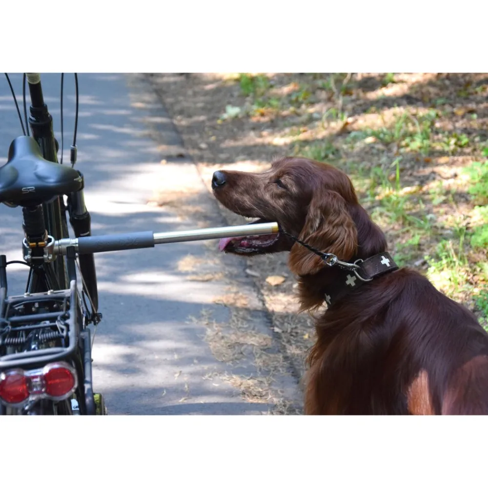 Dobar Walky Dog Plus Fahrradleine Clearance