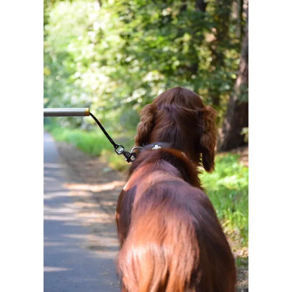Dobar Walky Dog Plus Fahrradleine Clearance