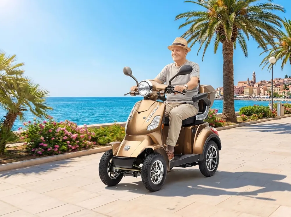 ECONELO E-Seniorenmobil Voltrixx, Lithium-Akku, 4-Rad, 1000 Watt, Braun Hot