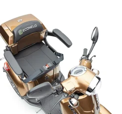 ECONELO E-Seniorenmobil Voltrixx, Lithium-Akku, 4-Rad, 1000 Watt, Braun Hot