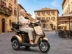 ECONELO E-Seniorenmobil Yogi-IQ, Blei-Akku, 3-Rad, 1000 Watt, Braun Clearance
