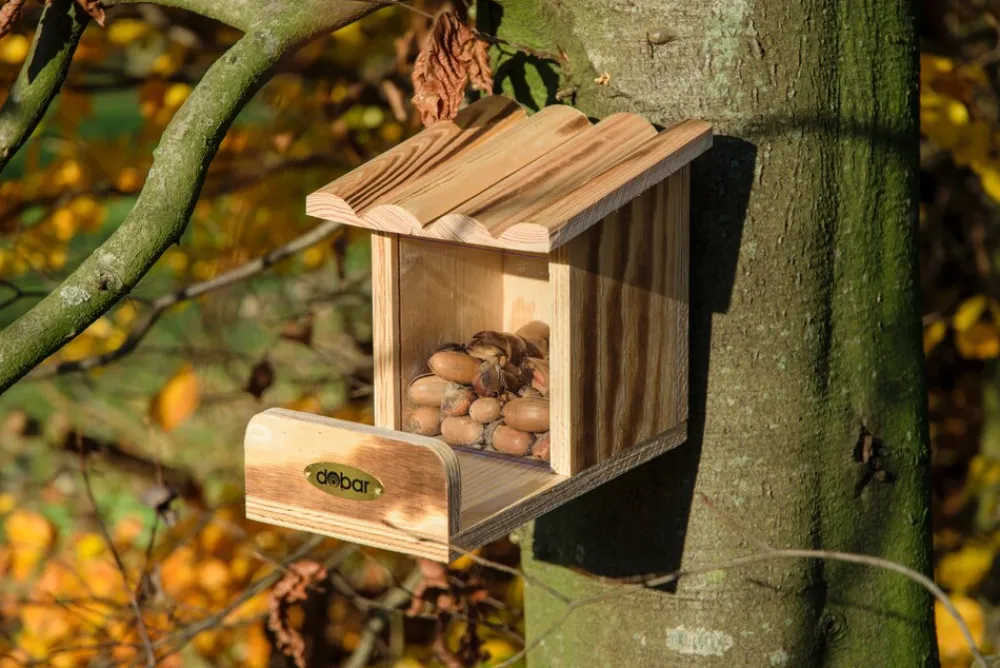 Eichhörnchen-Futterstation mit Futtersilo, Futterstelle aus Holz ^ Dobar Clearance