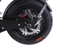 ENEWAY Revoluzzer-20 4.0 - 600W - E-Scooter 20km/h - 48V 12AH BleiGel Hot